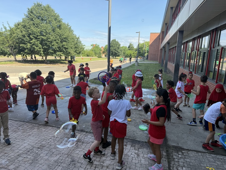 field day
