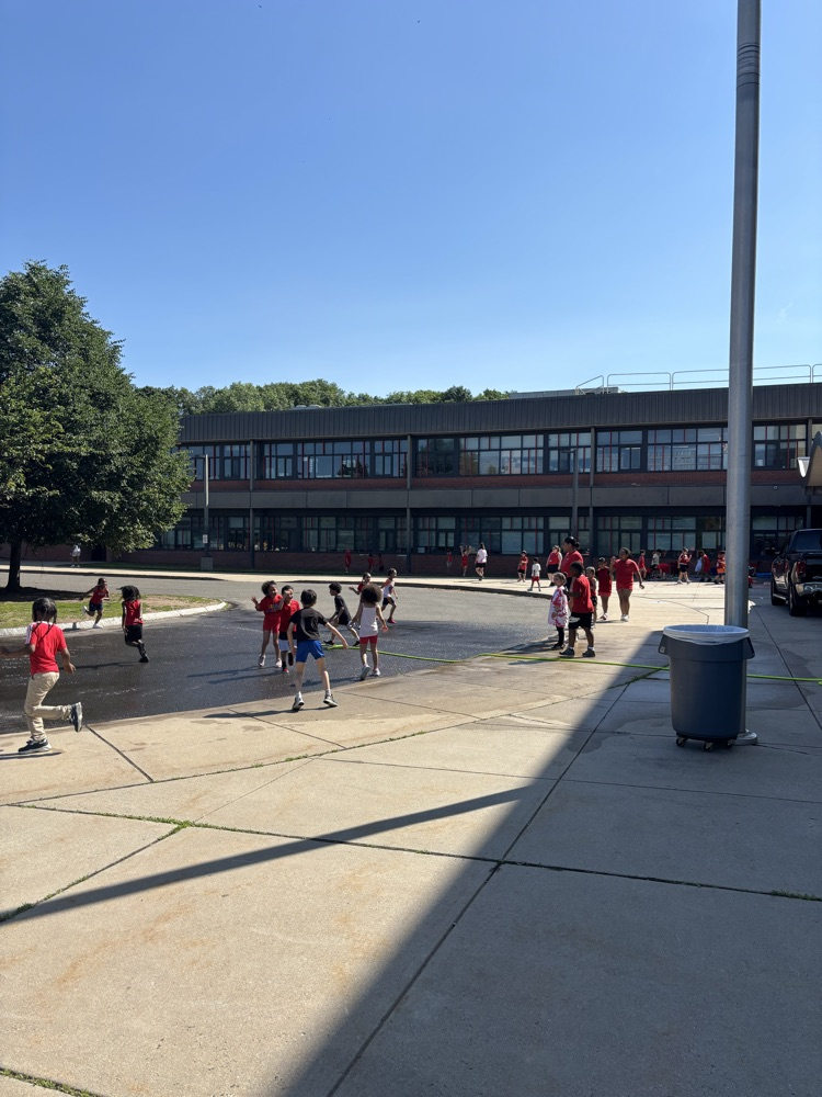field day