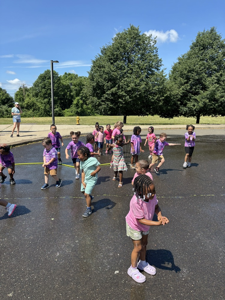 field day