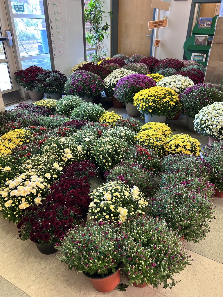 mum sale
