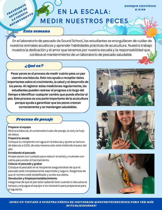 On the Scale Newsletter