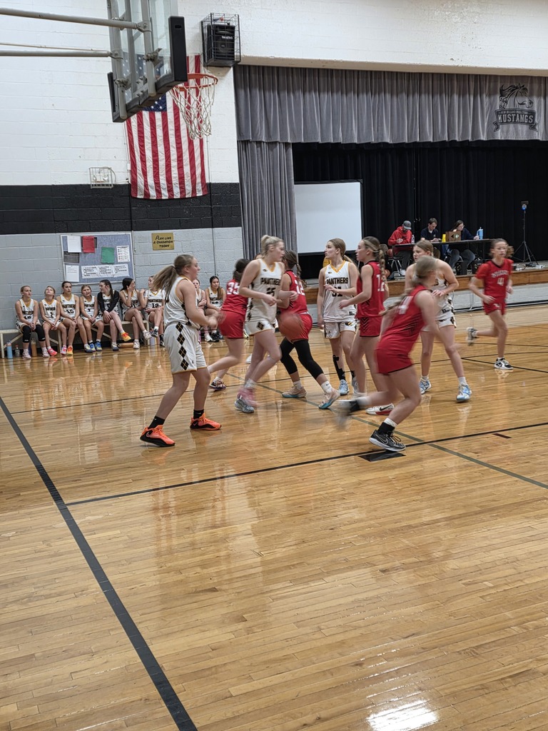 CEL vs Springfield Christian 2