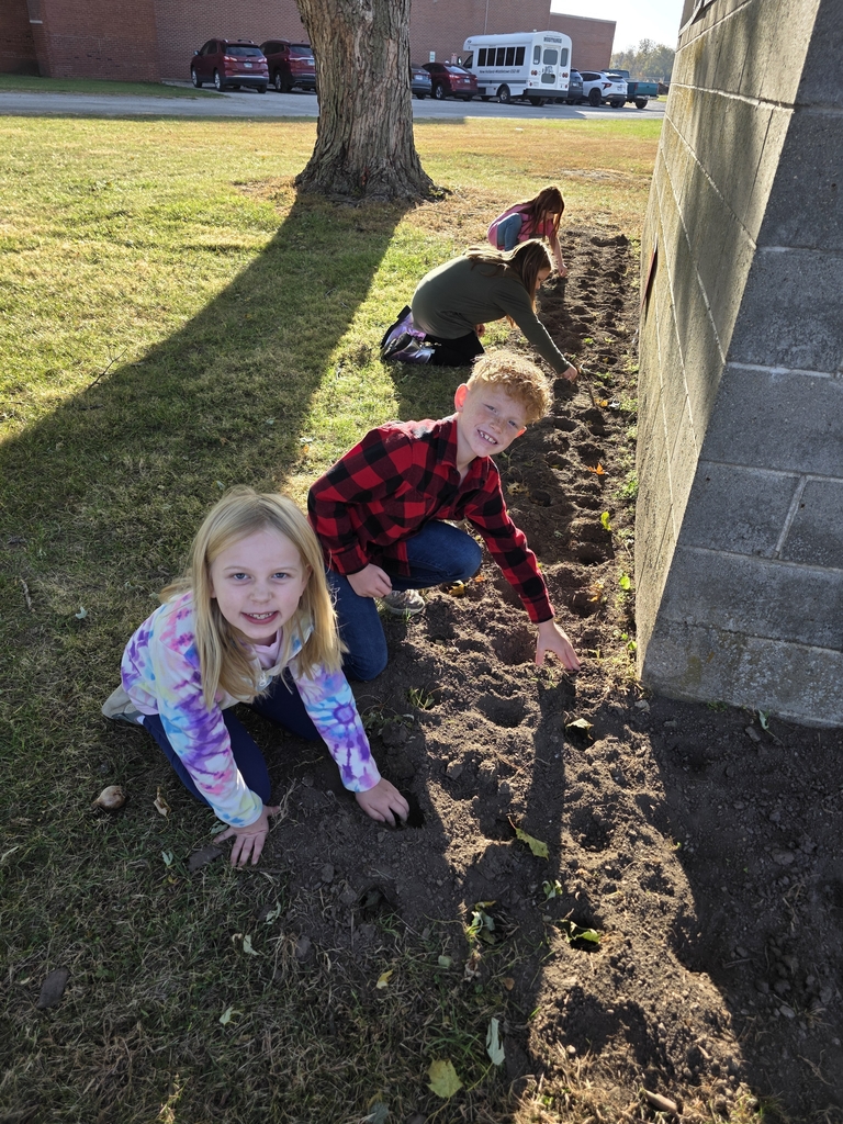 red Ribbon Week plant the promise flower bulbs