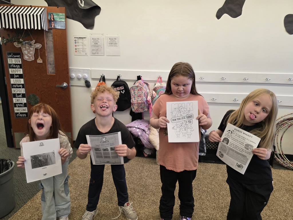 cow dairy calf adopt milk Daisy Mae 