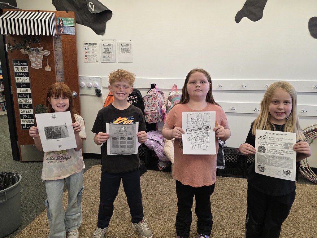 cow dairy calf adopt milk Daisy Mae 