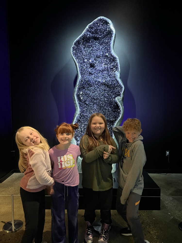 Exploring the Amethyst Gallery of Minerals 