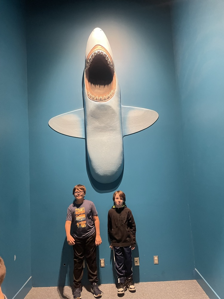 2 boys and shark