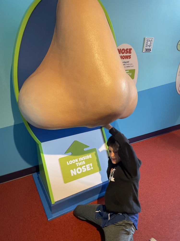 kid with a big nose