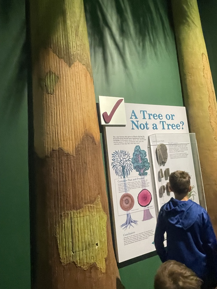 science exhibit and kids