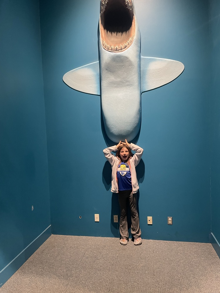 kid and shark