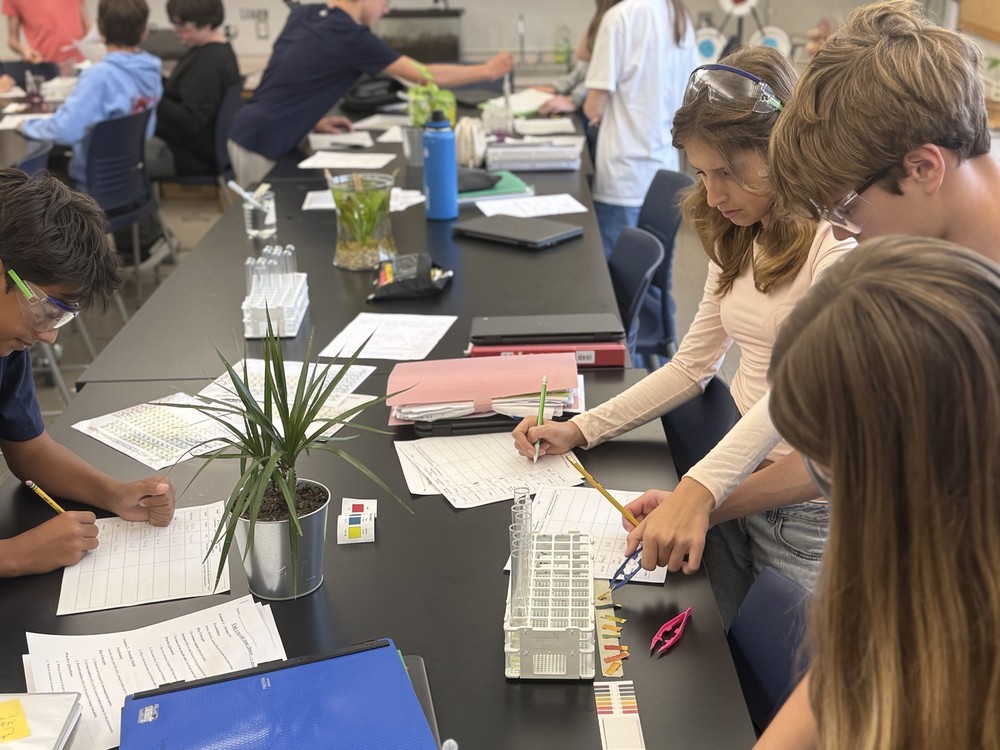 8th Graders working on acid and bases lab in science