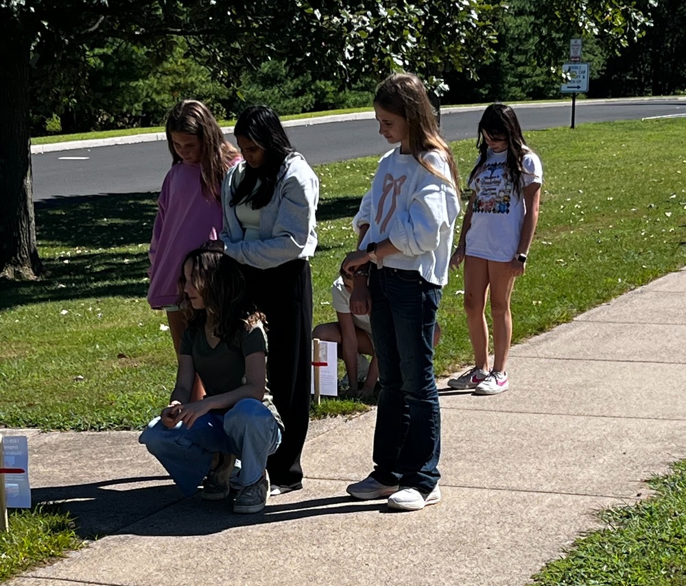 7th grader looking at a timeline