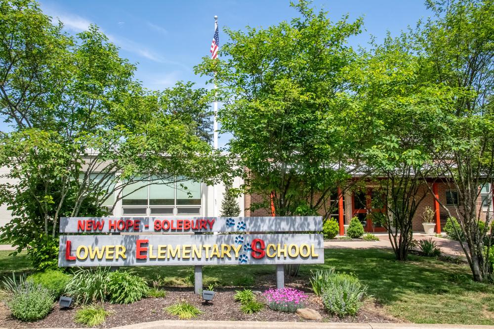 New Hope-Lower Elementary School sign in front of the building with greenery and flag in the background
