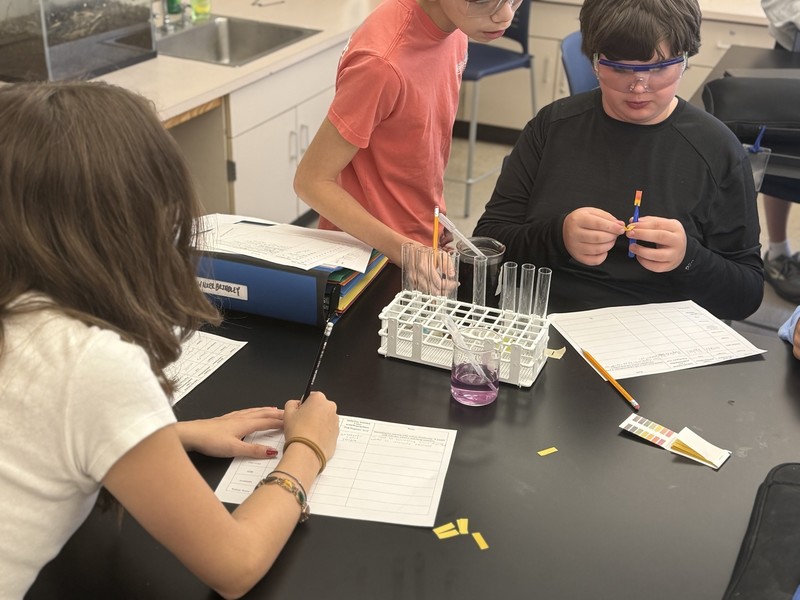 8th Graders working on acid and bases lab in science