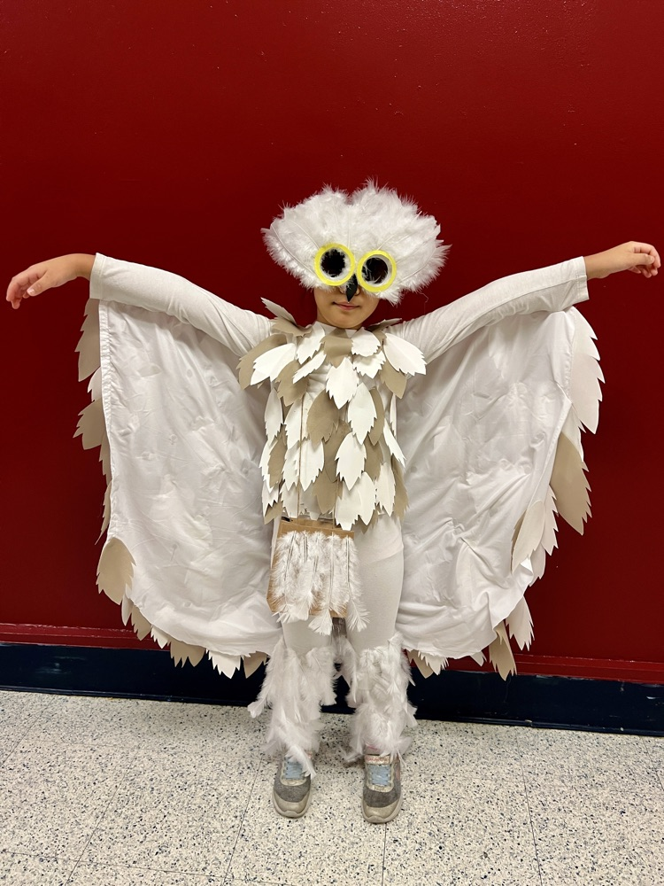 owl
