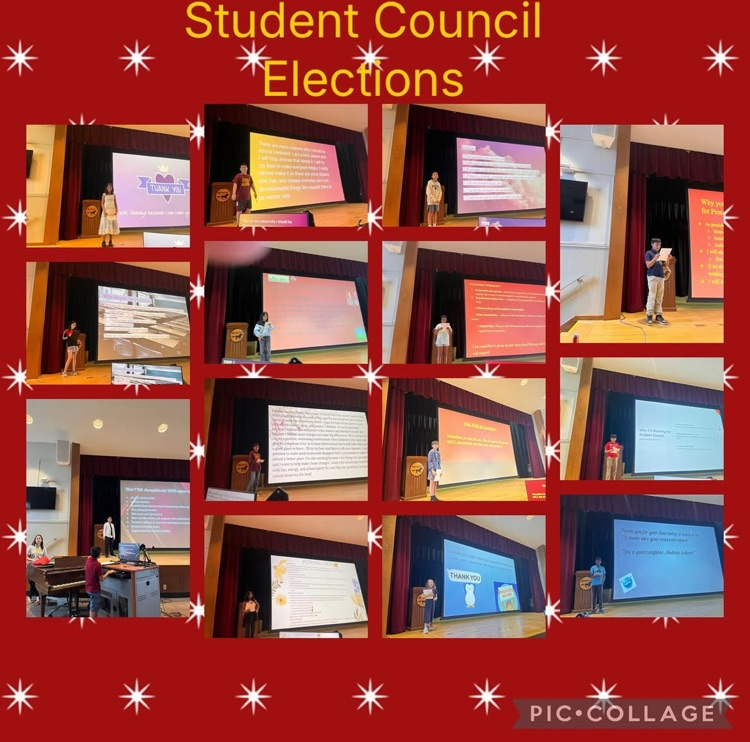 student council election