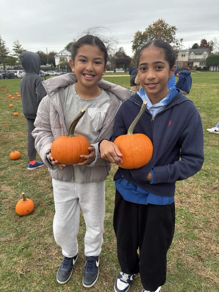 kids picking pumpkins