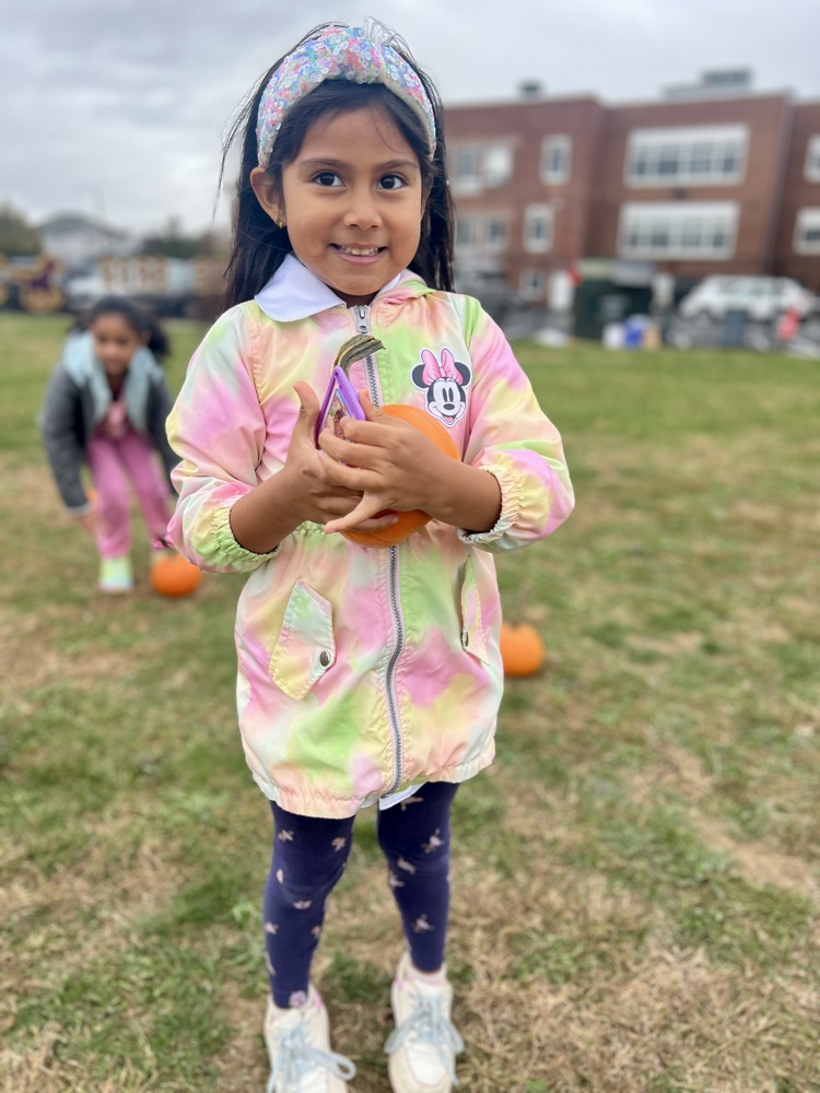 kids picking pumpkins
