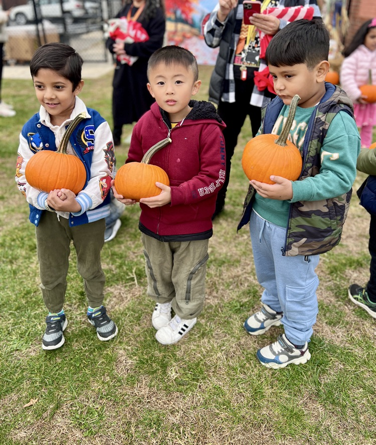 kids picking pumpkins