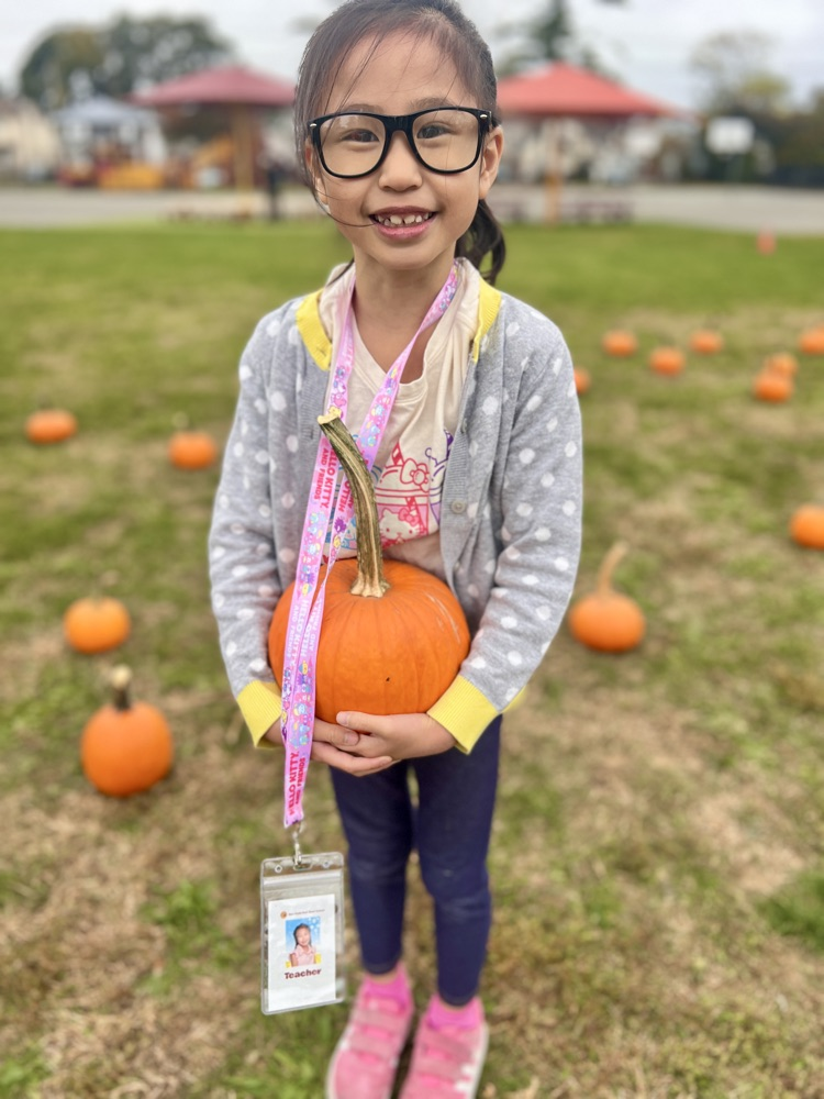 kids picking pumpkins