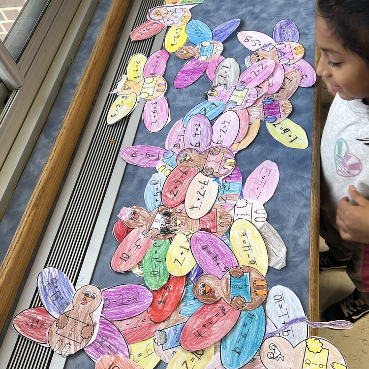 Turkey math projects