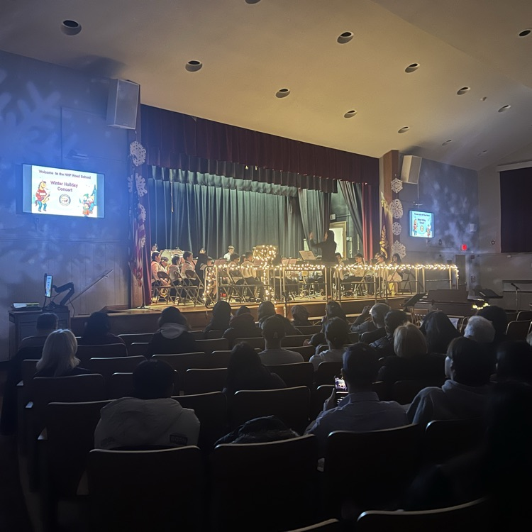 Picture of stage for a musical concert at a school