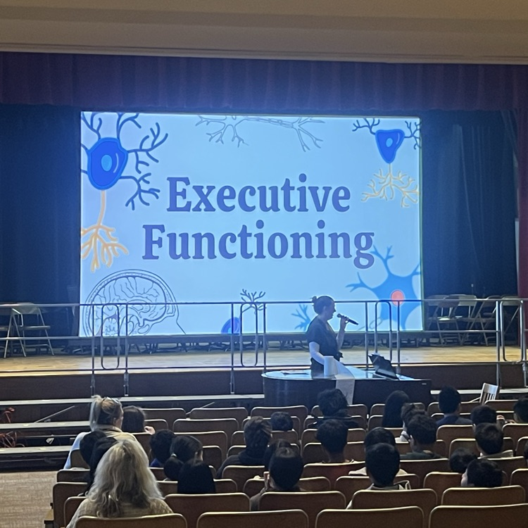 Assembly presentation