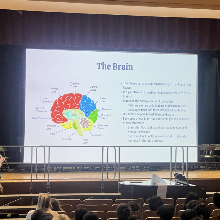 Assembly presentation