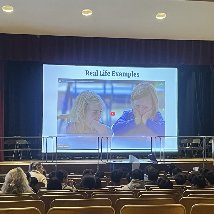 Assembly presentation