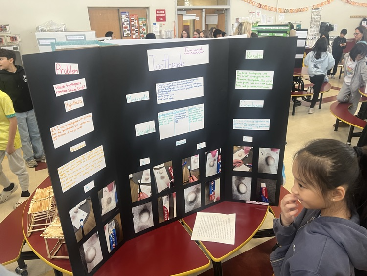 kids with their science projects