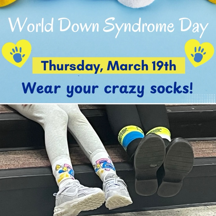 World down syndrome, awareness day, rocking our socks, and learning about down syndrome