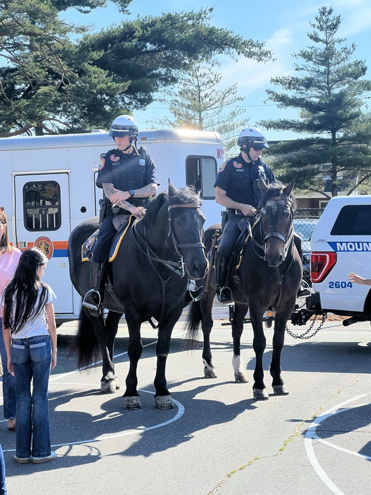 police horses