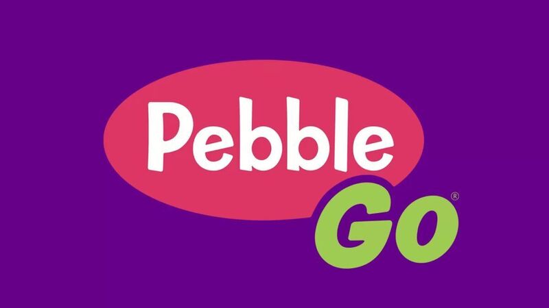 pebble go