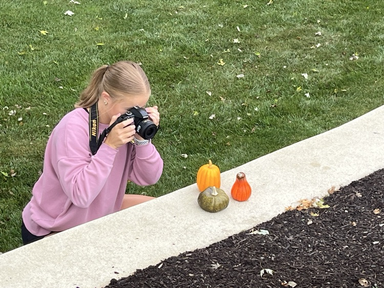 taking photos.
