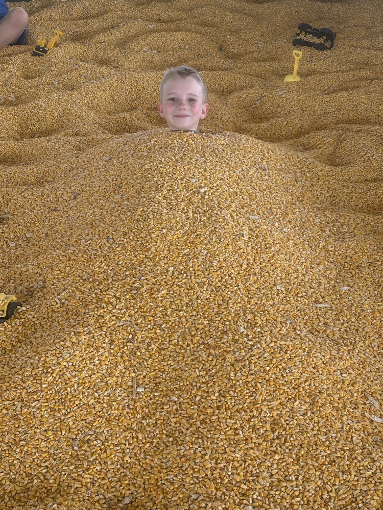 3B 