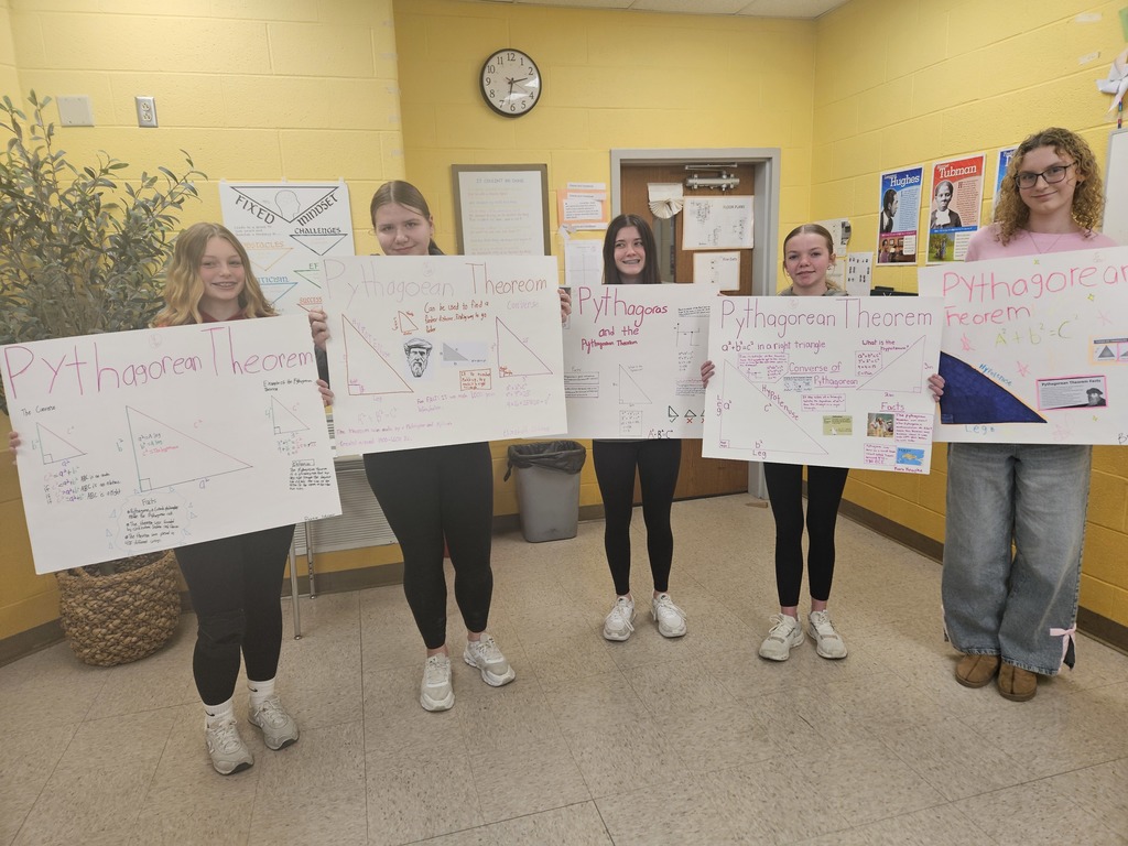 Pythagorean Theorem posters.