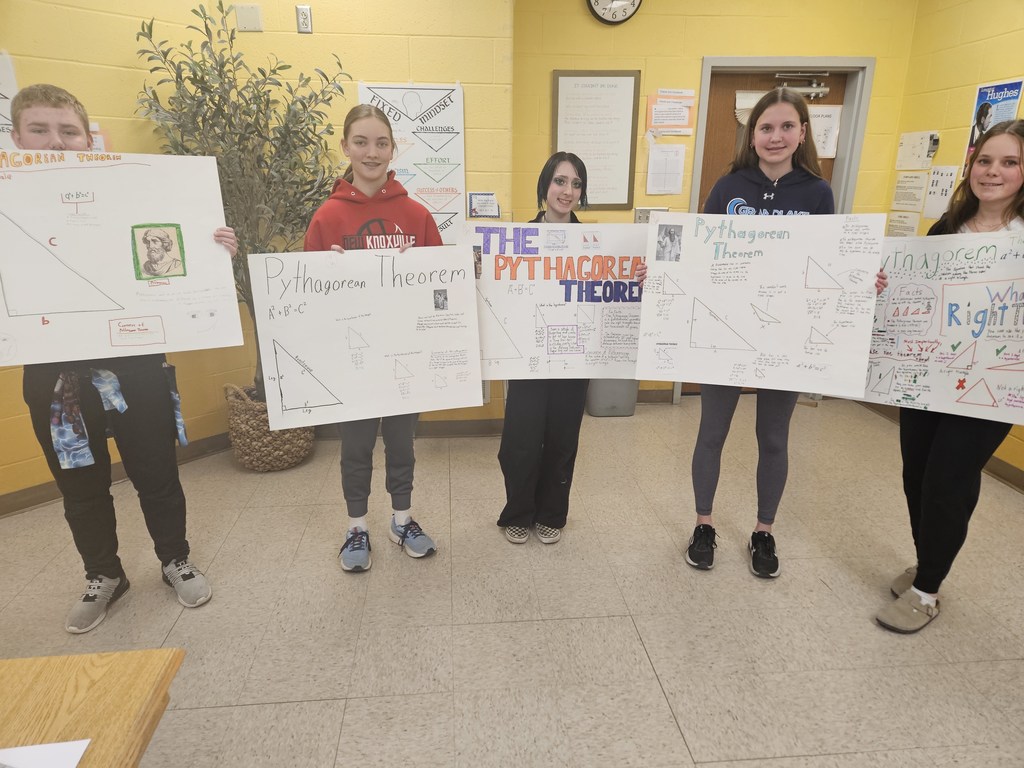 Pythagorean Theorem posters. 