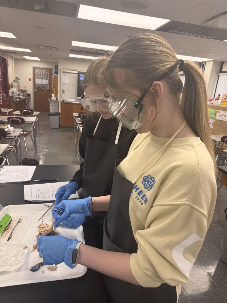 cutting off the extra-ocular tissue. 