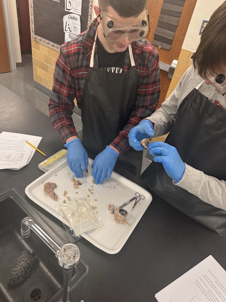 Popping out the lens. 