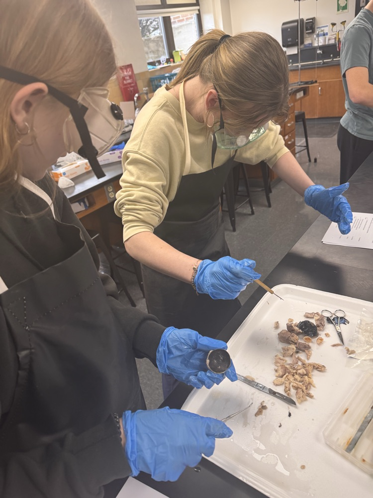 A close look at the inner layers. 