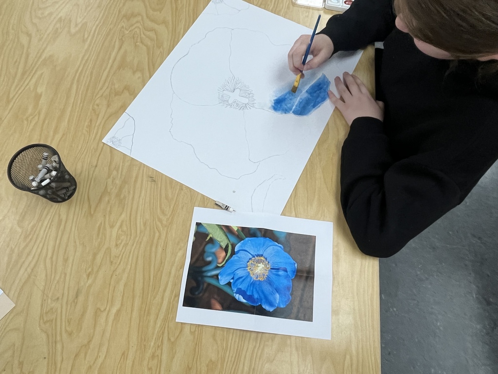 6th grade watercolor flowers