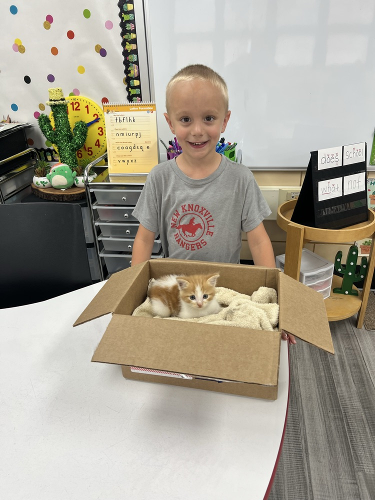 Miles and Meow Meow (Maple)