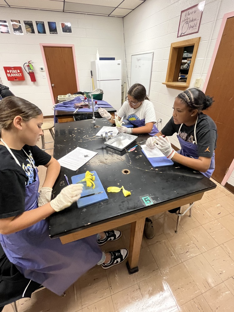 Dissecting Flowers