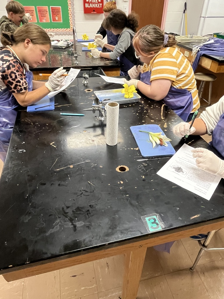 Dissecting Flowers