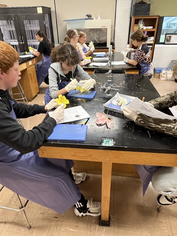 Dissecting Flowers