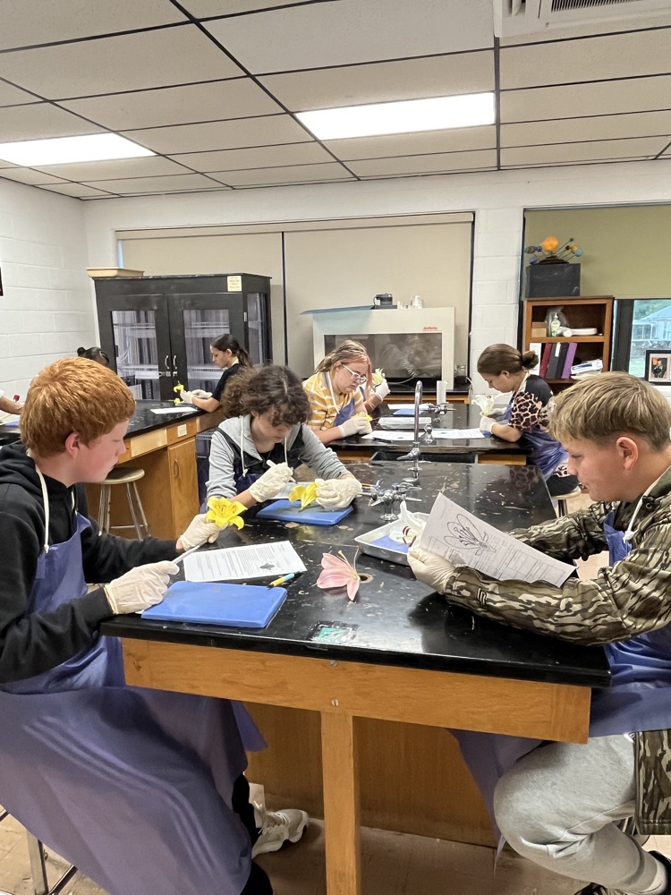 Dissecting Flowers