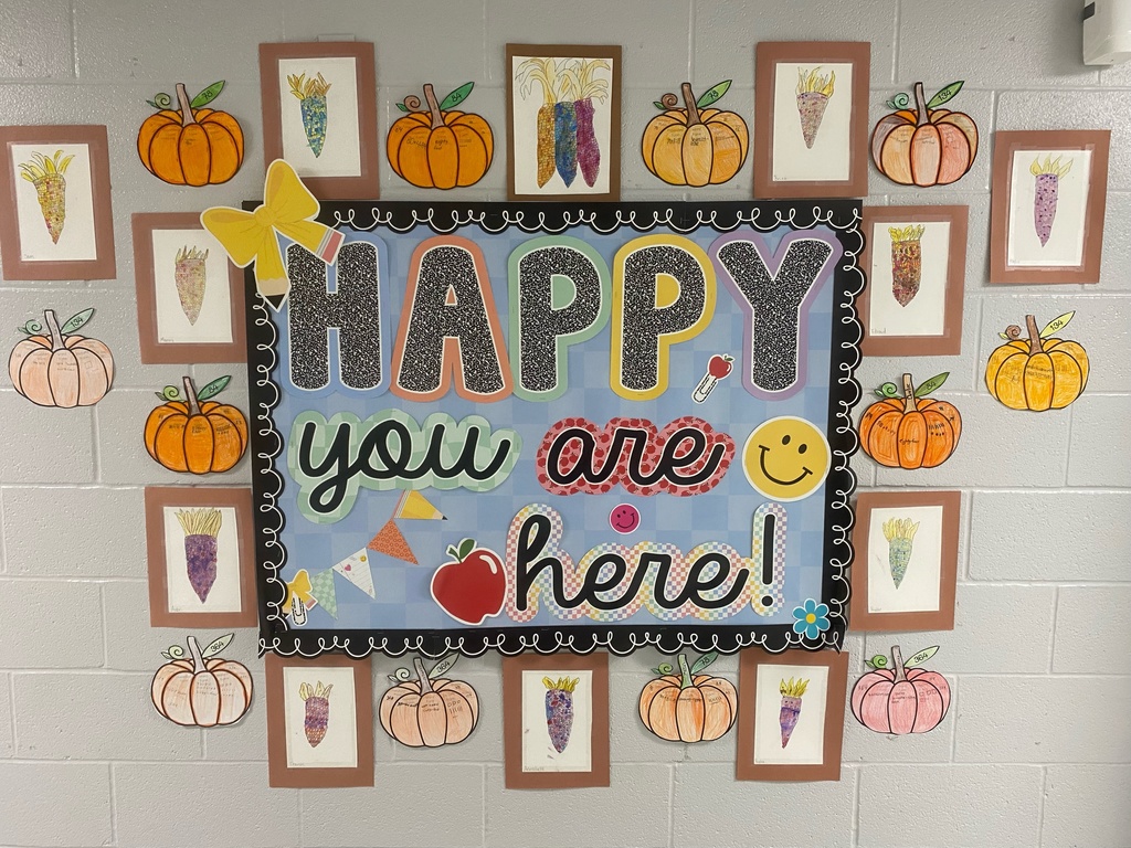 3rd Grade Class Project