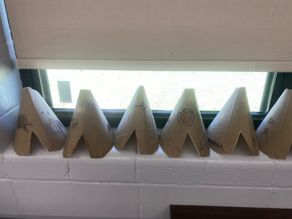 3rd Grade Project
