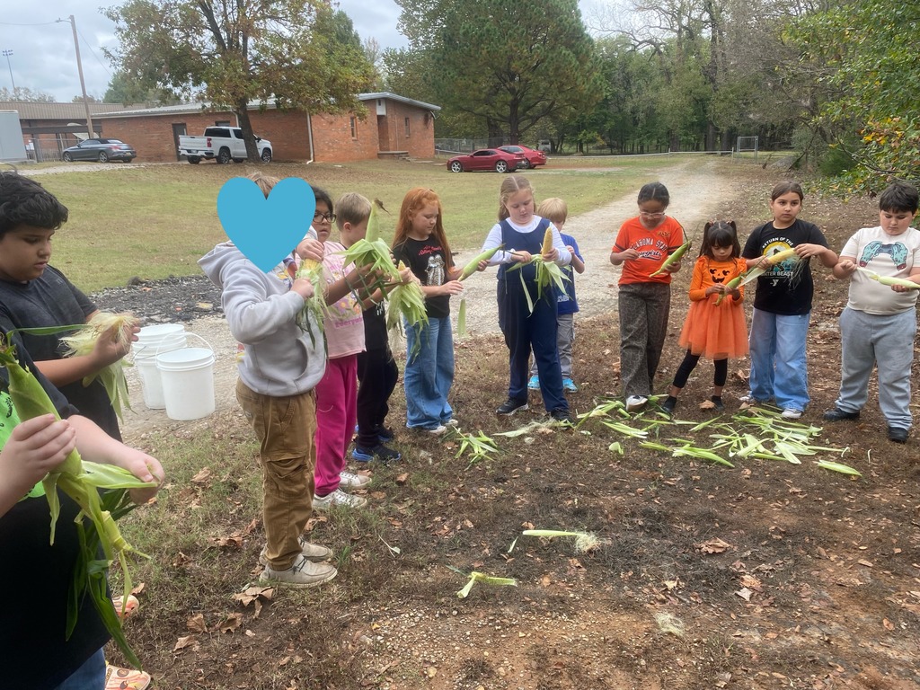 Third grade learning to shuck corn