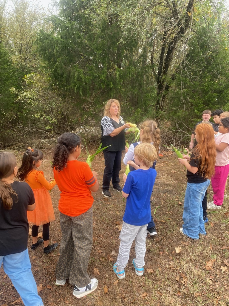 Third grade learning to shuck corn